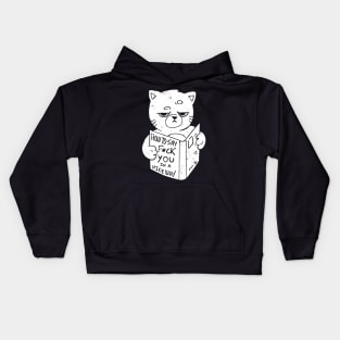 Nice Way to Say - Funny Grumpy Sarcasm Cat Gift Kids Hoodie